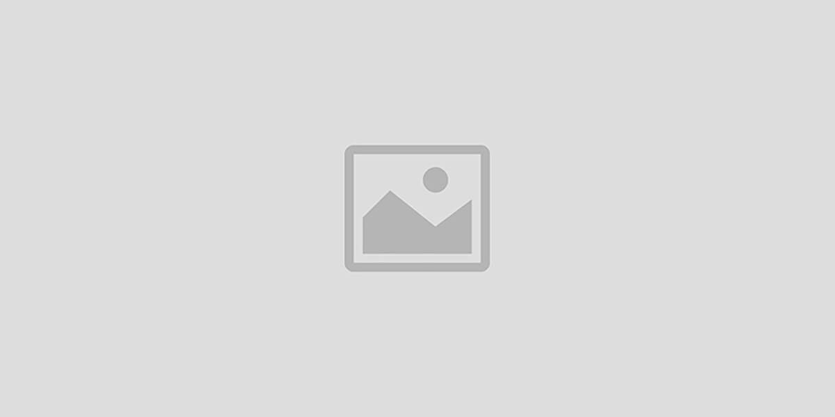WP Web Developer