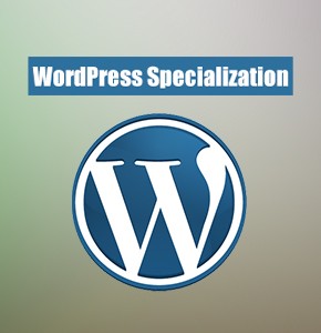 WordPress Specialization Services – Theme, Plugin, Customization & Maintenance