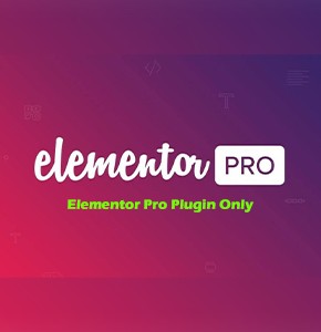 Elementor Pro Plugin Only – GPL (Latest Version) + 1 Year Updates – No Premium Kit Library