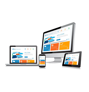 Professional Business Website Package