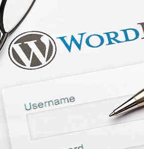 WordPress Website Development